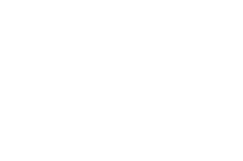 Institute of Informatics